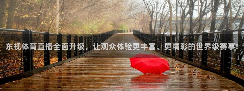 山猫免费直播