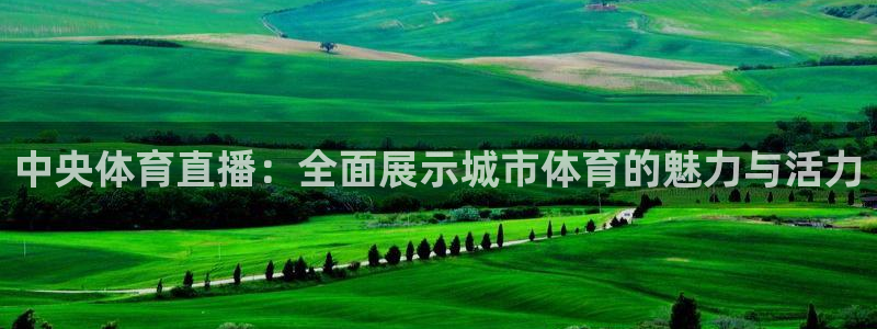 体育新闻