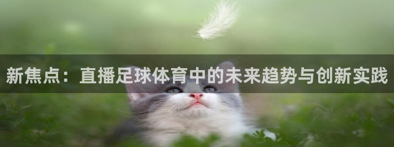 山猫nba体育直播官网