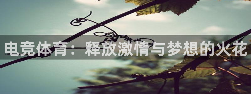 体育新闻