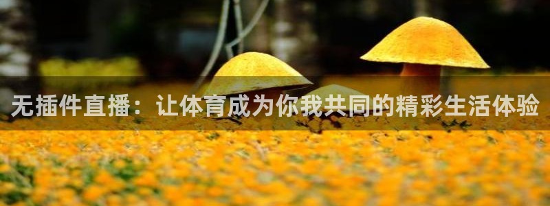 体育新闻